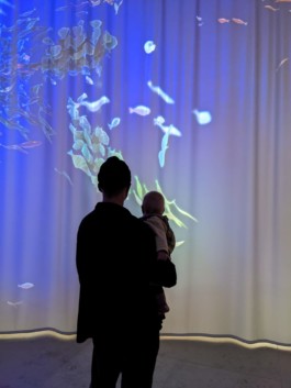 SCHNELLE BUNTE BILDER