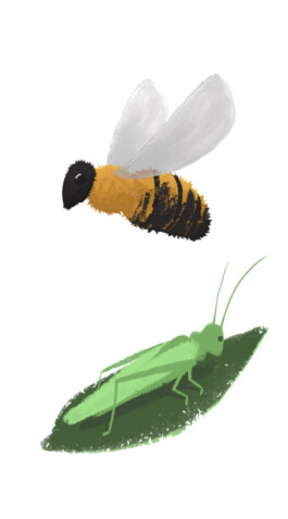 SCHNELLE BUNTE BILDER