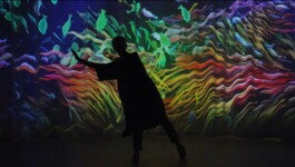 SCHNELLE BUNTE BILDER