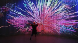 SCHNELLE BUNTE BILDER