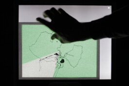 SCHNELLE BUNTE BILDER