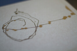 SCHNELLE BUNTE BILDER