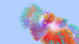 SCHNELLE BUNTE BILDER