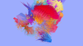 SCHNELLE BUNTE BILDER