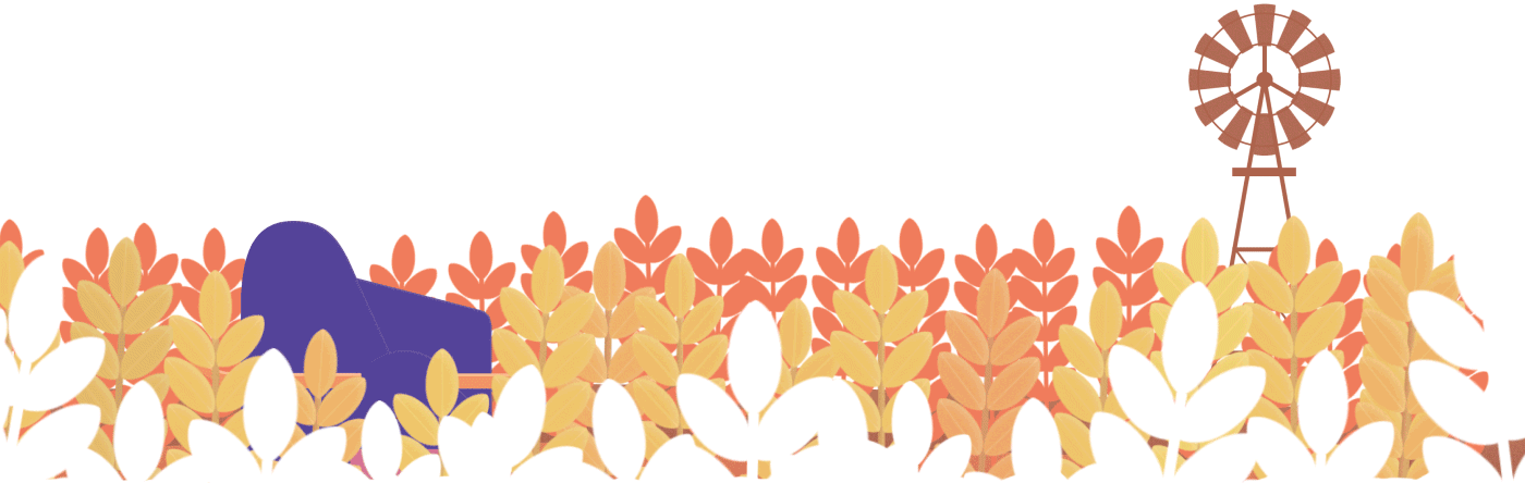 SCHNELLE BUNTE BILDER