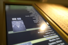 SCHNELLE BUNTE BILDER