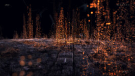 SCHNELLE BUNTE BILDER