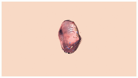 SCHNELLE BUNTE BILDER