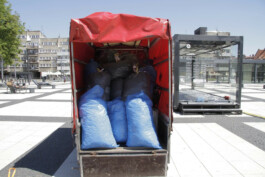 SCHNELLE BUNTE BILDER