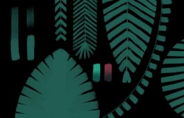 SCHNELLE BUNTE BILDER