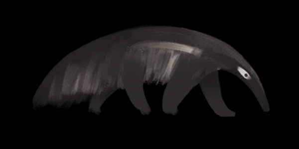 SCHNELLE BUNTE BILDER