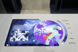 SCHNELLE BUNTE BILDER