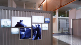 SCHNELLE BUNTE BILDER