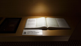 SCHNELLE BUNTE BILDER